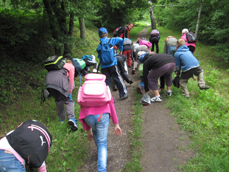 2AZalesnimistrasidylky (7)